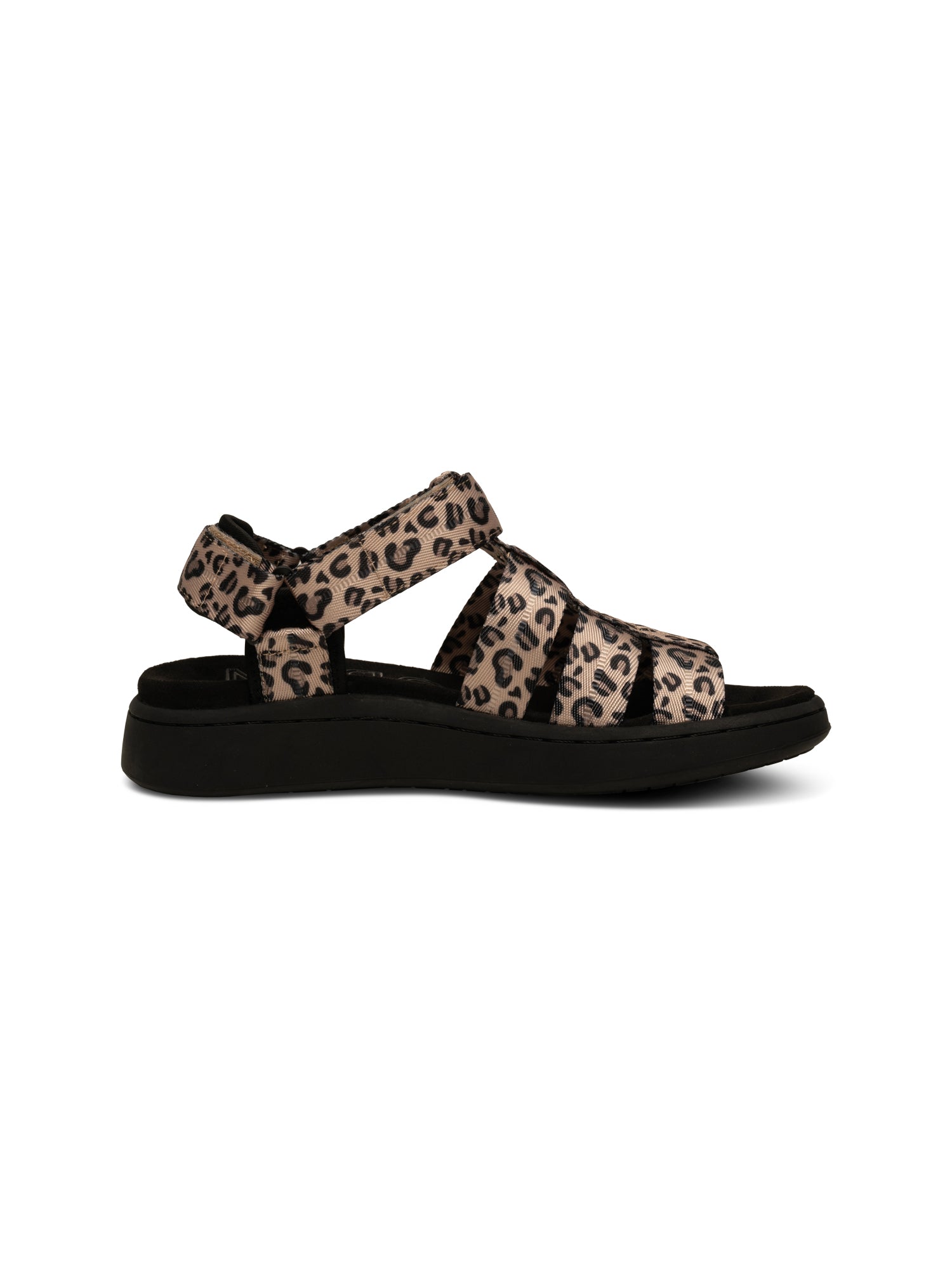 WODEN Line Fisherman Sandals 327 Leopard