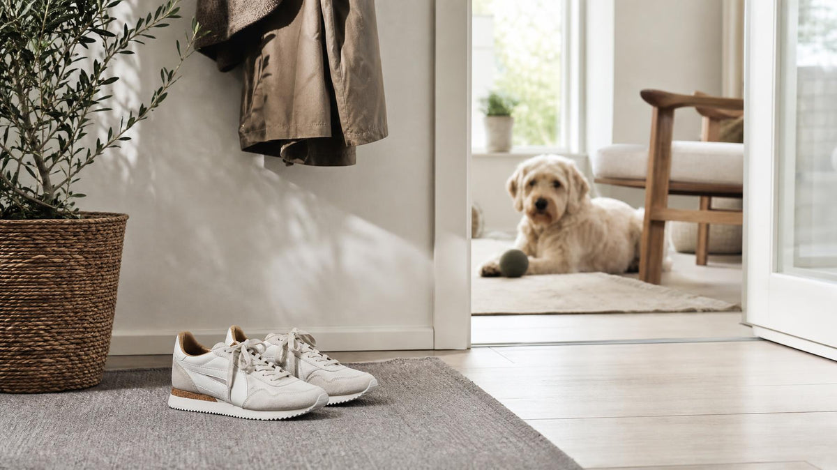 En glad hund i entréen ved siden af et par sko i et lyst, skandinavisk hjem