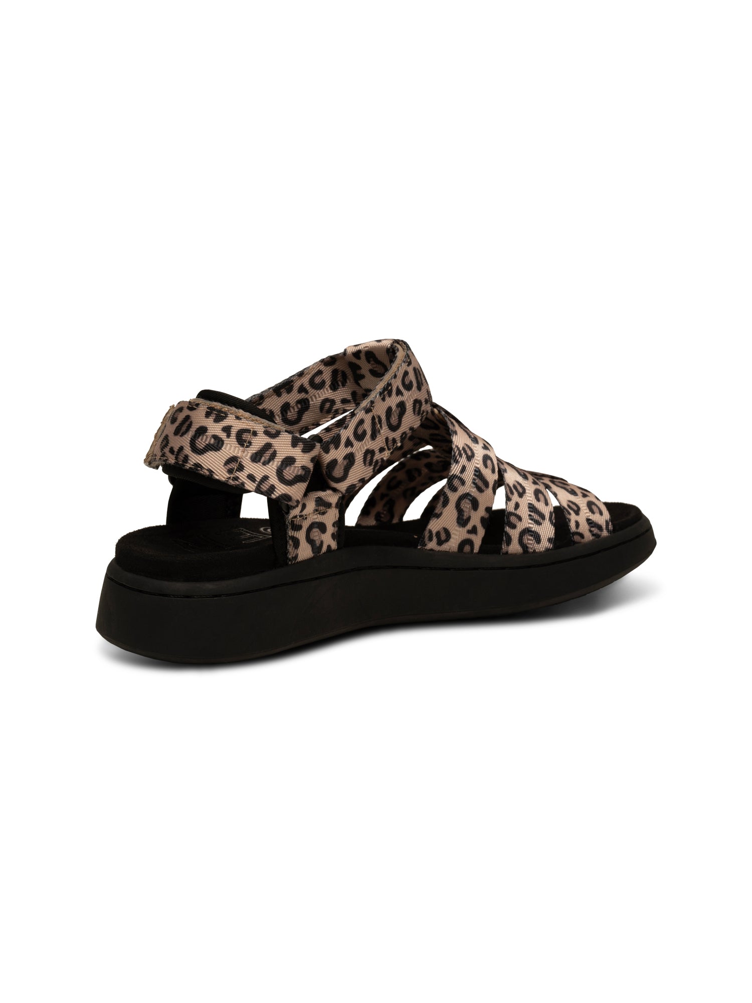 WODEN Line Fisherman Sandals 327 Leopard
